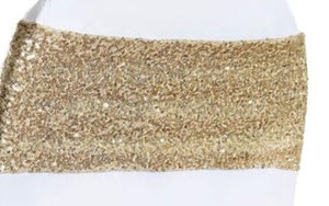 Champagne Sequin Spandex Band. RENT