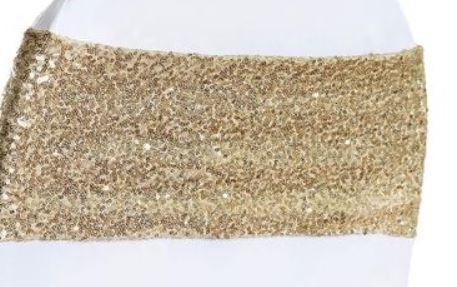 Champagne Sequin Spandex Band. RENT