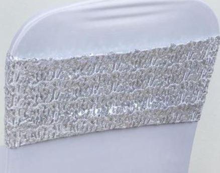 Silver Sequin Spandex Band  RENT